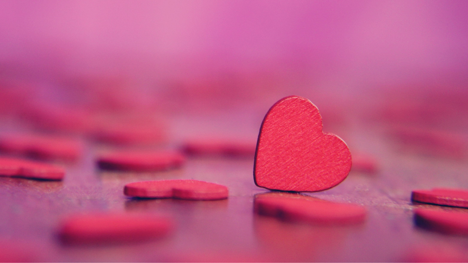 Grace's Valentine's Day Fundraiser