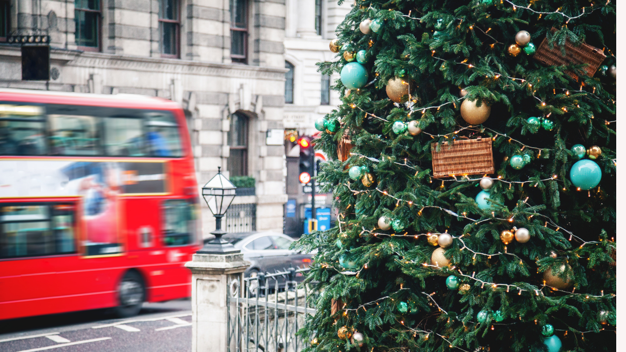 December 2021 Newsletter