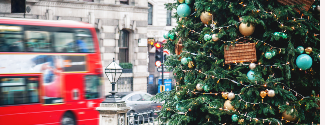 December 2021 Newsletter