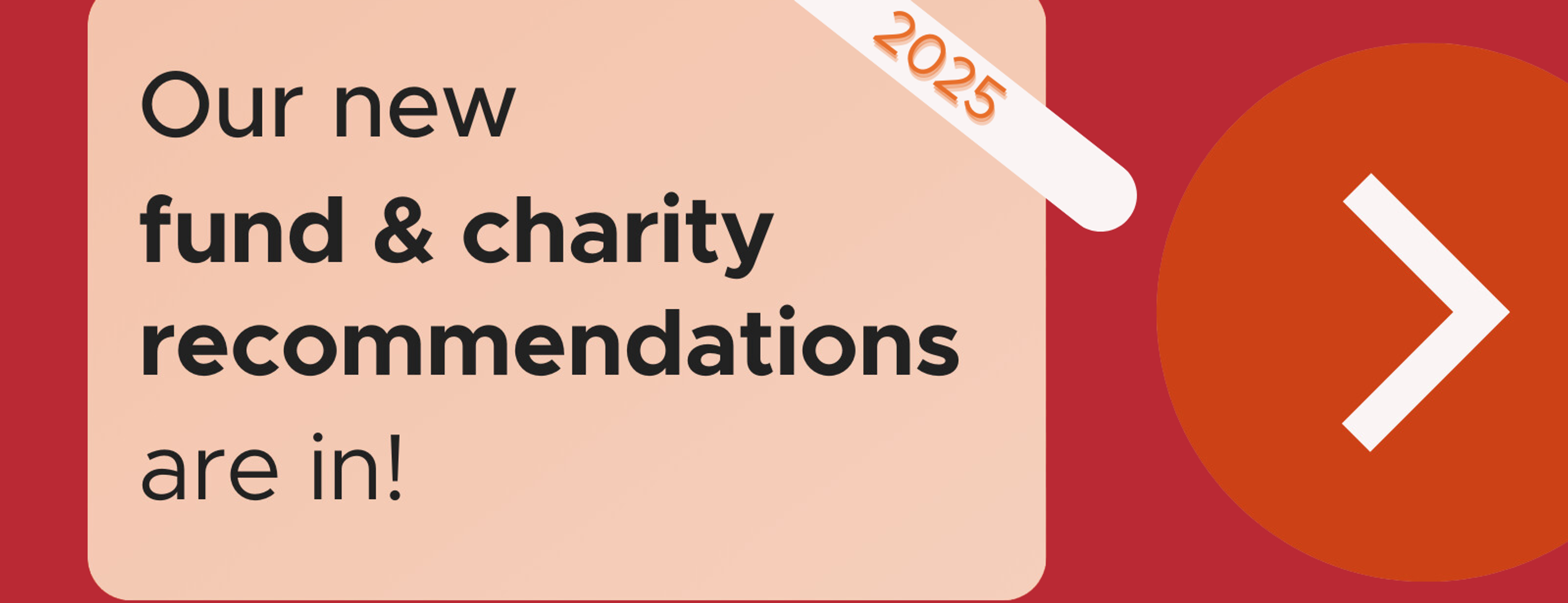 2025 charity recommendations are in!