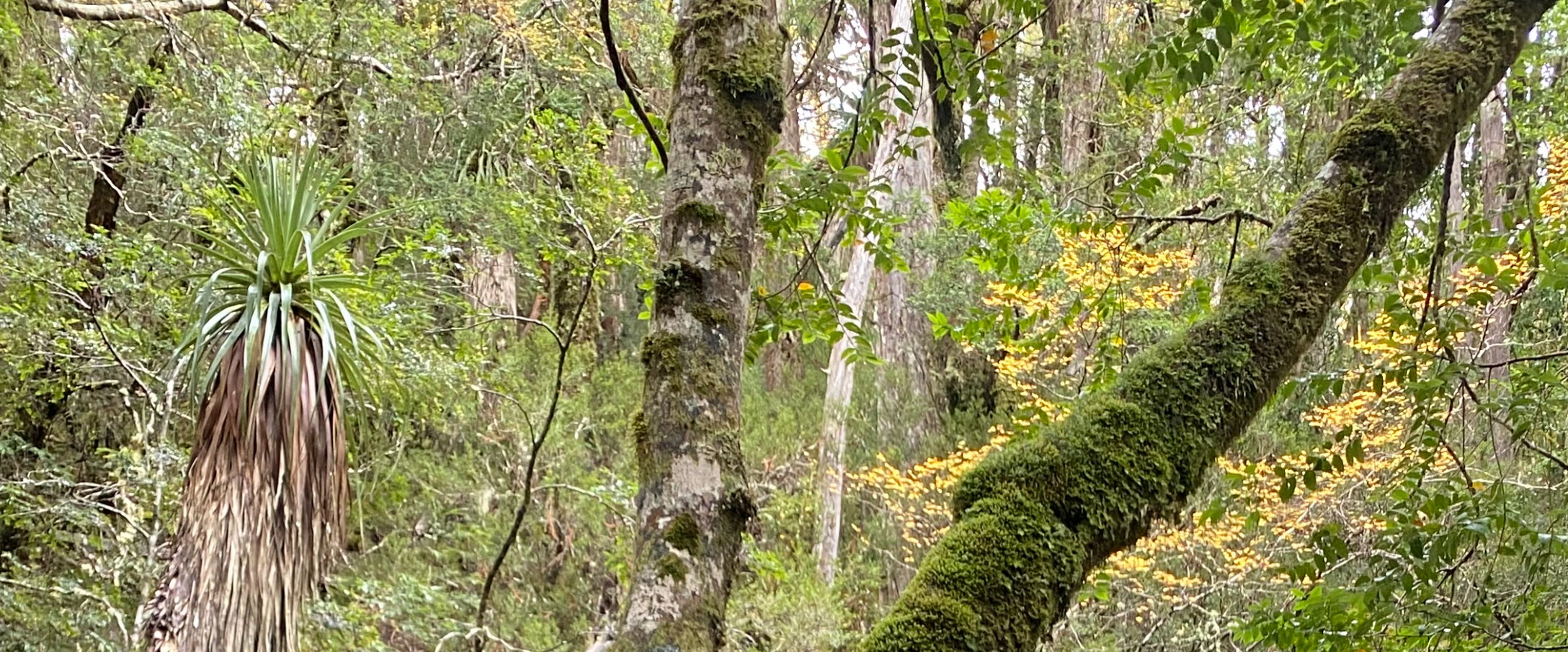 1/2 Marathon Mosquito Nets Fundraiser