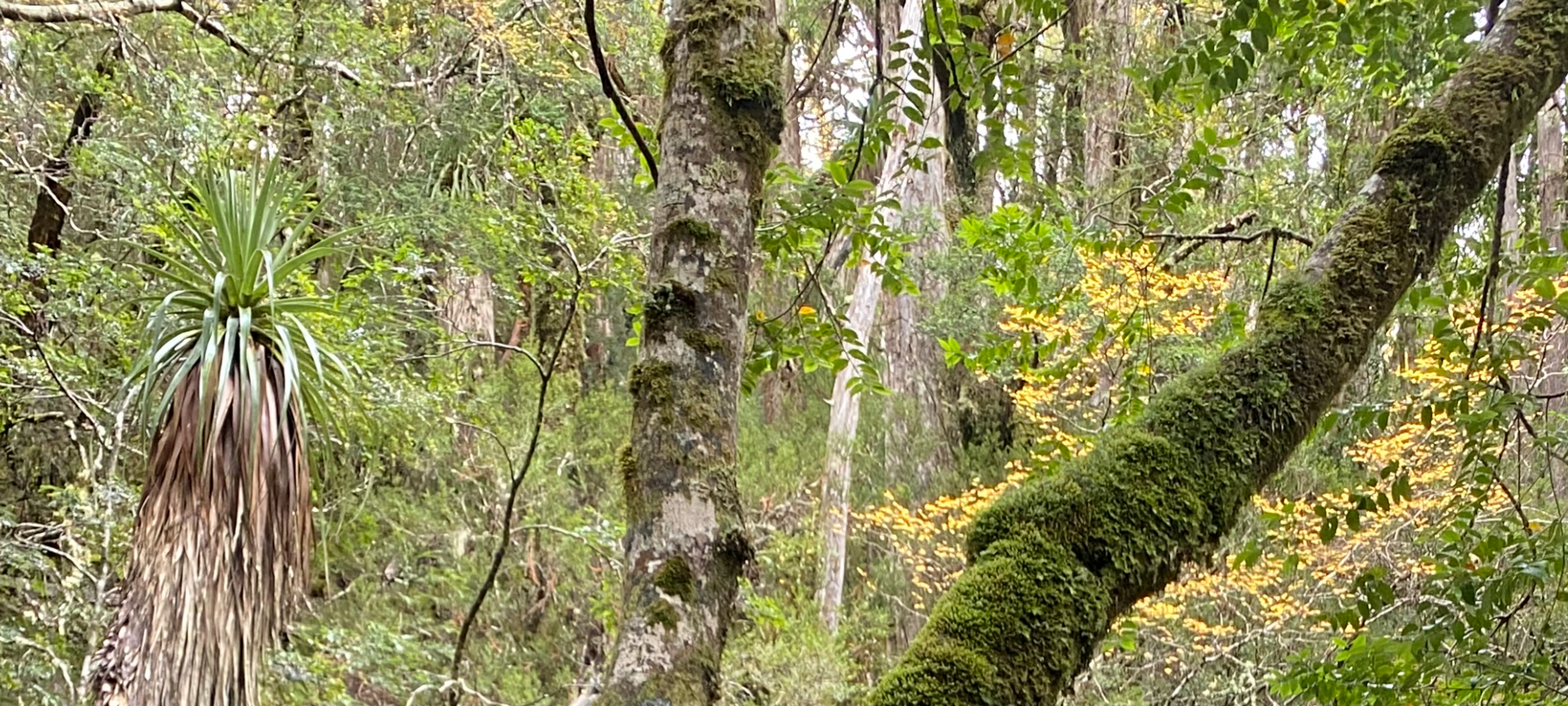 1/2 Marathon Mosquito Nets Fundraiser