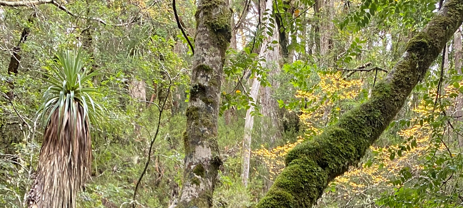 1/2 Marathon Mosquito Nets Fundraiser