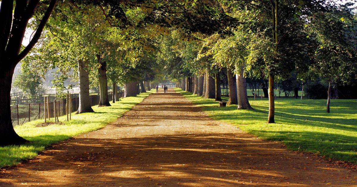 GIVING WHAT WE CAN UK logo