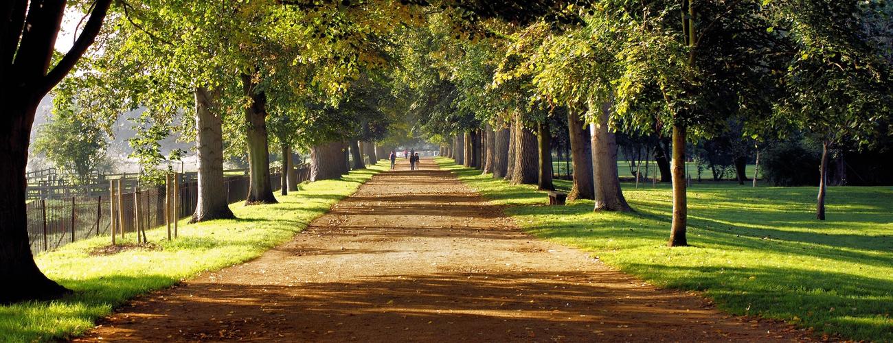 Everything you always wanted to know about the pledge (but were afraid to ask)