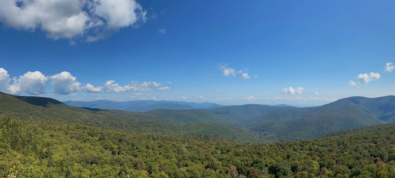 25th Birthday for Charity