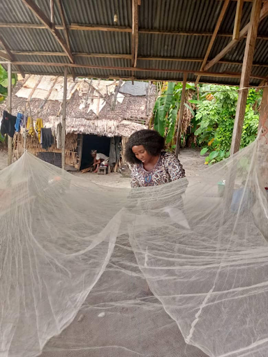 A spotlight on Against Malaria Foundation's Post-Distribution Survey (PDM) process