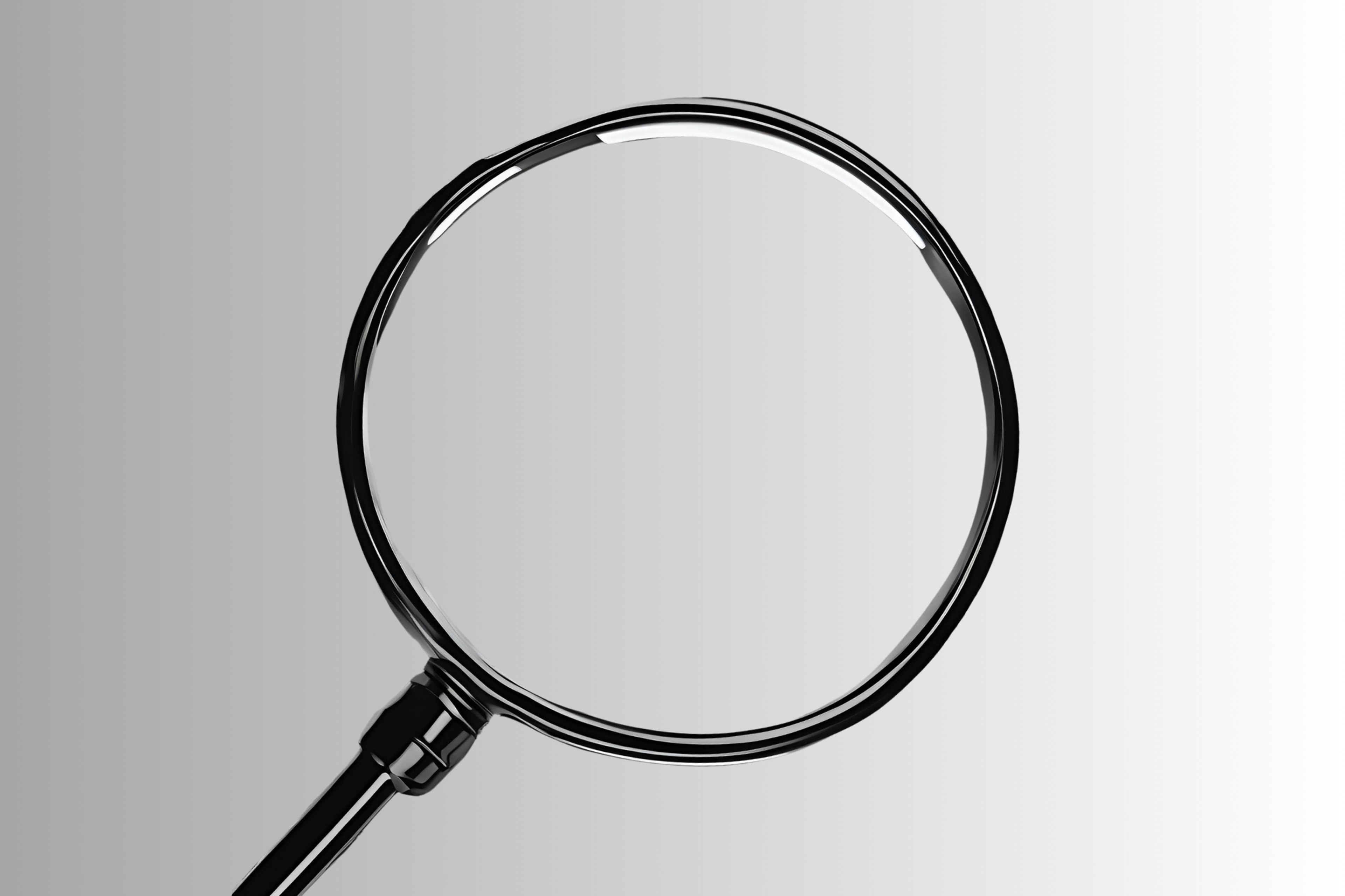 Impact-Focused Evaluators