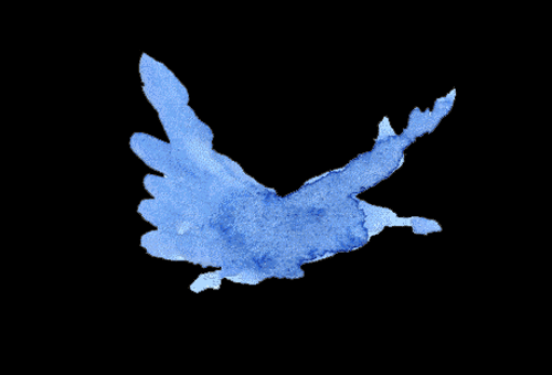 a blue bird flying