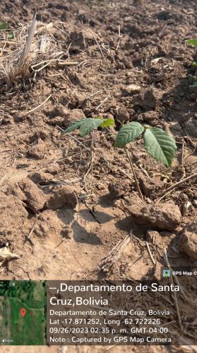 San Rafael 1 gallery image 40