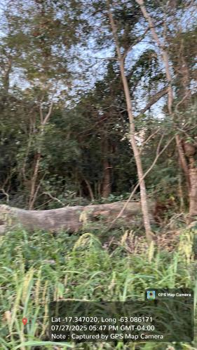 Haciendas del Señor gallery image 21