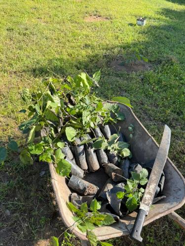 San Rafael 2 gallery image 20