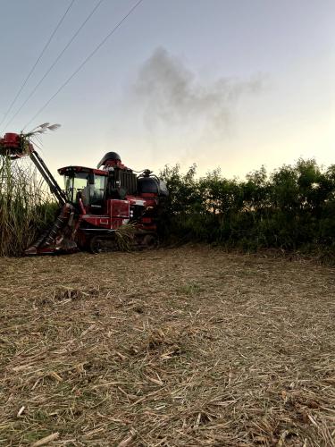 Miraflores gallery image 3