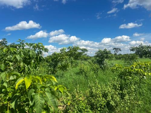 San Rafael 1 gallery image 15