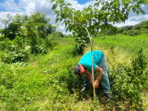 San Rafael 1 gallery image 2