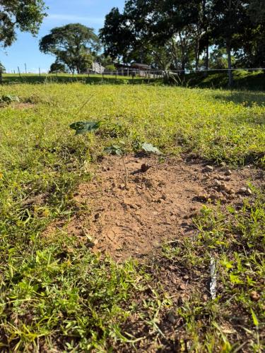 San Rafael 2 gallery image 13