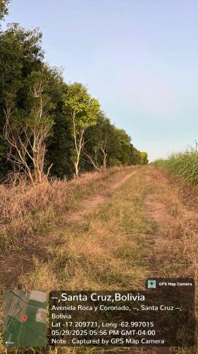 Miraflores gallery image 14