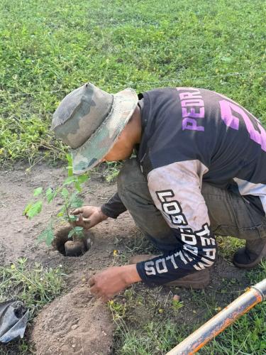 San Rafael 2 gallery image 26