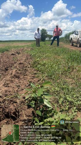 Hualtaco gallery image 8