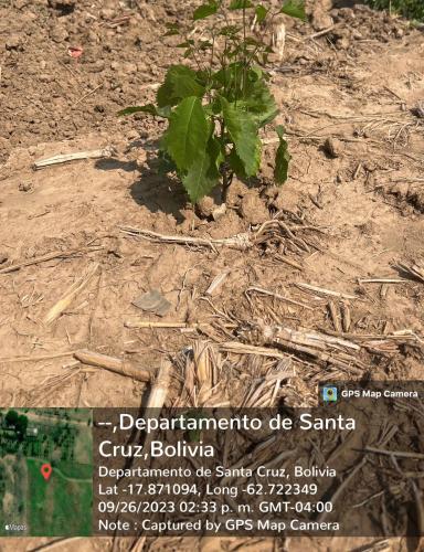 San Rafael 1 gallery image 36