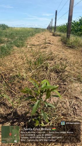 Retiro gallery image 47