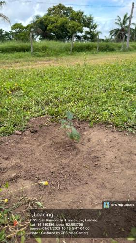 San Rafael 2 gallery image 6