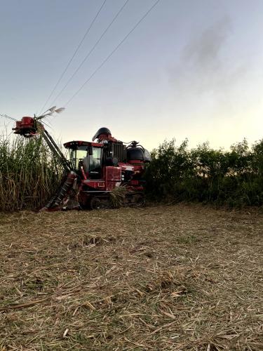 Miraflores gallery image 5