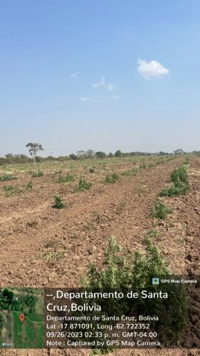 San Rafael 1 gallery image 37