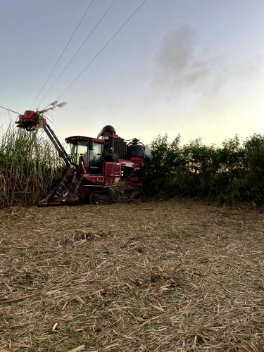 Miraflores gallery image 4