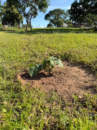 San Rafael 2 gallery image 24