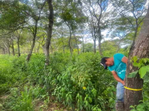 San Rafael 1 gallery image 1