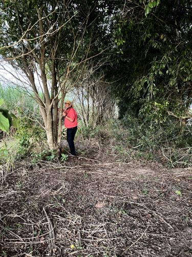 Miraflores gallery image 13