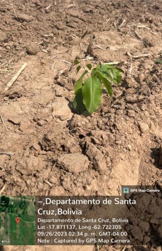 San Rafael 1 gallery image 38