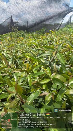 Retiro gallery image 6