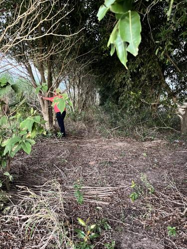 Miraflores gallery image 12