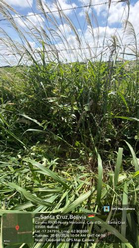 Retiro gallery image 29