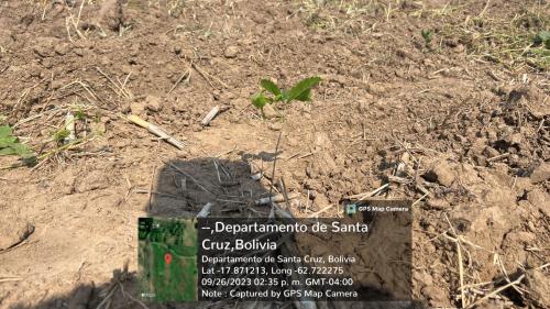 San Rafael 1 gallery image 39