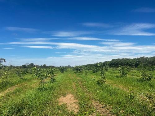 San Rafael 1 gallery image 25