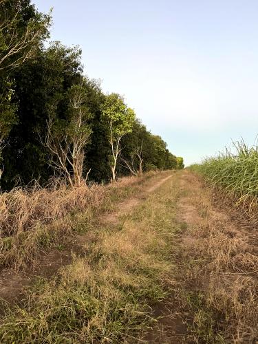 Miraflores gallery image 10