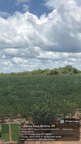 Hualtaco gallery image 5