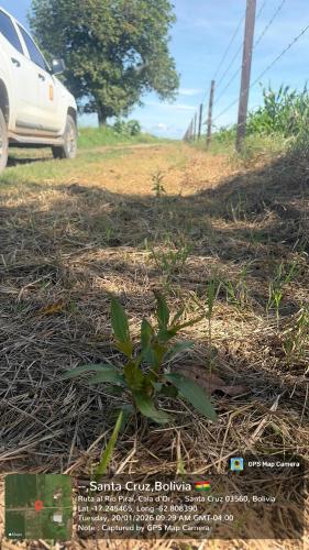 Retiro gallery image 61