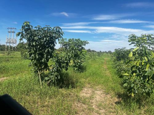 San Rafael 1 gallery image 28