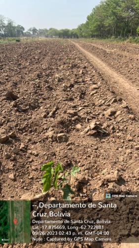 San Rafael 1 gallery image 33