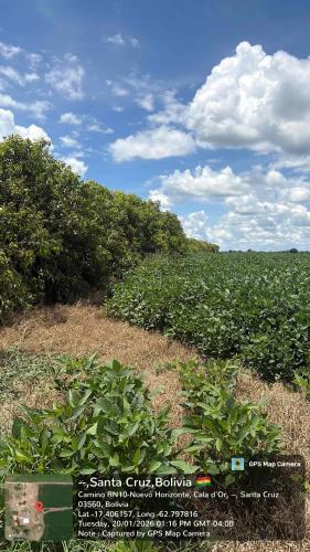 Hualtaco gallery image 2