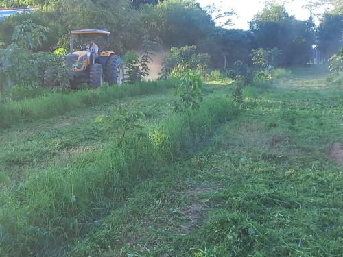 San Rafael 1 gallery image 35