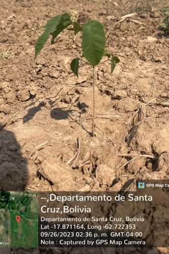 San Rafael 1 gallery image 31