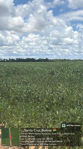 Hualtaco gallery image 6