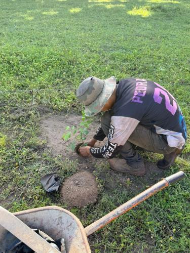 San Rafael 2 gallery image 19