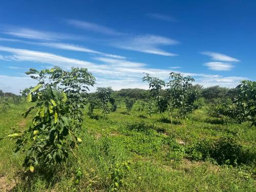 San Rafael 1 gallery image 27