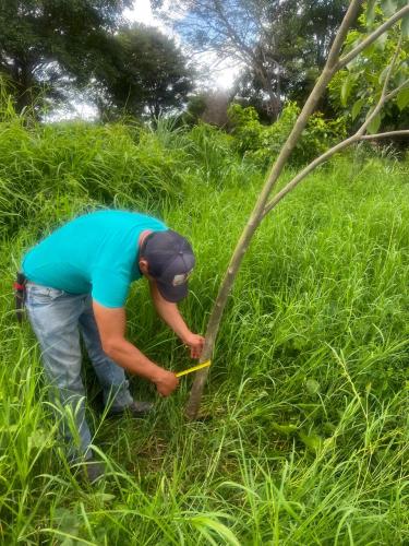 San Rafael 1 gallery image 5